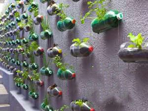 Подвесной сад из пластиковых бутылок