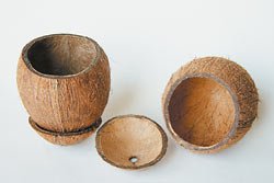 Подставка для канцелярских принадлежностей из кокоса