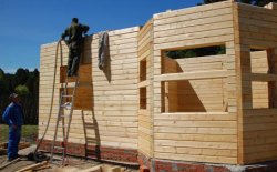 Как строить из древесины