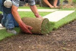 Как постелить рулонный газон 