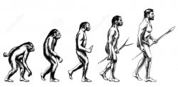 Как происходила эволюция человека и происхождение переходных форм